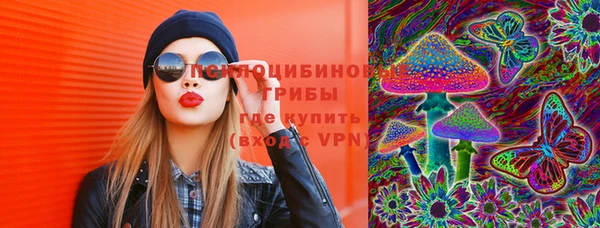 ГАЛЛЮЦИНОГЕННЫЕ ГРИБЫ Балахна