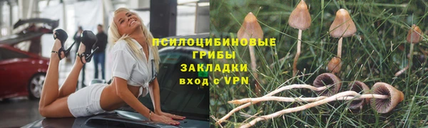 2c-b Аркадак
