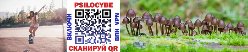 Купить где  Хвалынск  Псилоцибиновые грибы мицелий 